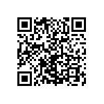 2225Y0250333KXT QRCode