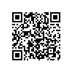 2225Y1000273GFR QRCode