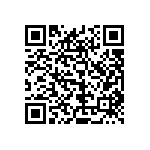 2225Y2K00272MXT QRCode