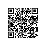 2225Y5000273KDR QRCode