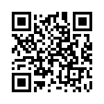 239-1-2717-6 QRCode