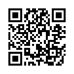 250R05L910JV4T QRCode