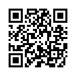 258GXZSJD100E QRCode