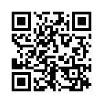 262E12 QRCode