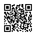 2903805 QRCode