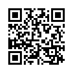 2905234 QRCode