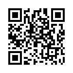 2905238 QRCode