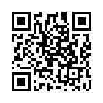 2905244 QRCode