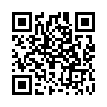 2905294 QRCode