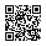 293033-1 QRCode