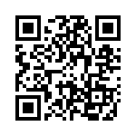 293300-4 QRCode