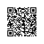 299-3-1RS11-00307238 QRCode