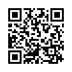 2B9 QRCode