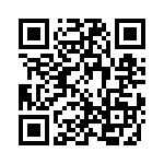 3-1734857-1 QRCode