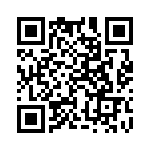 3-1744020-6 QRCode