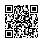 30-017-A-03 QRCode