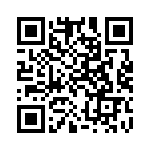 300100220104 QRCode