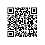 300DP3R3BLKM1QE QRCode