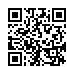 300X10119X QRCode