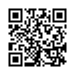 300X11199X QRCode