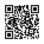 30300500131 QRCode