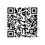 310-13-131-41-001000 QRCode