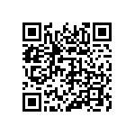 311-87-132-41-001101 QRCode