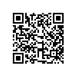 315-87-153-41-001101 QRCode