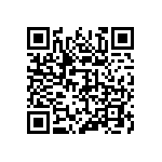 316-87-121-41-001101 QRCode