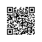 316-87-130-41-011101 QRCode