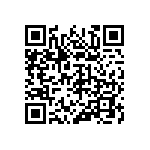 316-87-130-41-013101 QRCode