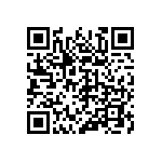 316-87-132-41-012101 QRCode