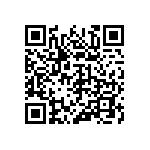 316-87-132-41-013101 QRCode