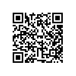 316-87-161-41-013101 QRCode