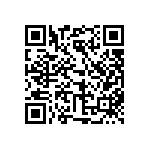 316-93-101-41-006000 QRCode