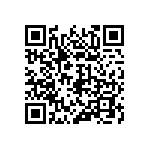 317-87-117-41-005101 QRCode