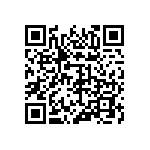 323-87-131-41-001101 QRCode