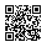 324202 QRCode