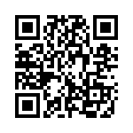 333RH1K QRCode