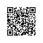 346-93-106-41-013000 QRCode