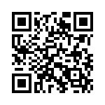 353NB3A480T QRCode