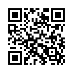 353NB3I163R QRCode