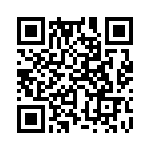 353NB5C283T QRCode