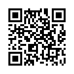 353NB5I447T QRCode