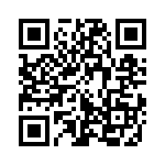 353NB6A480T QRCode