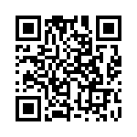 353SB5C491R QRCode