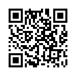 353TB3A163T QRCode