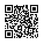 353TB5I081T QRCode