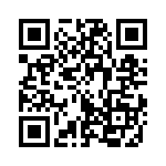 353TB5I343T QRCode