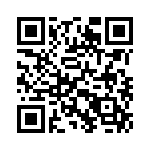 353TB6A250T QRCode